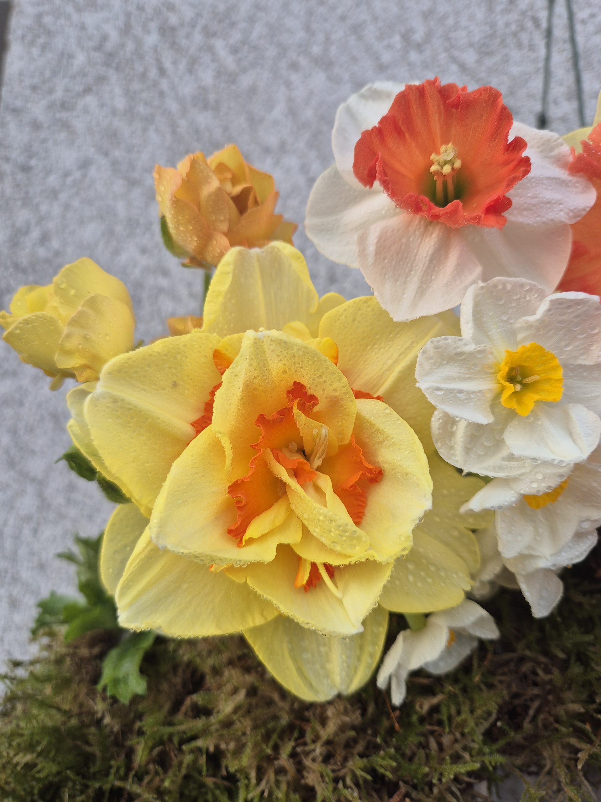 Spring Door Wreath Including Candle Making - Image 2