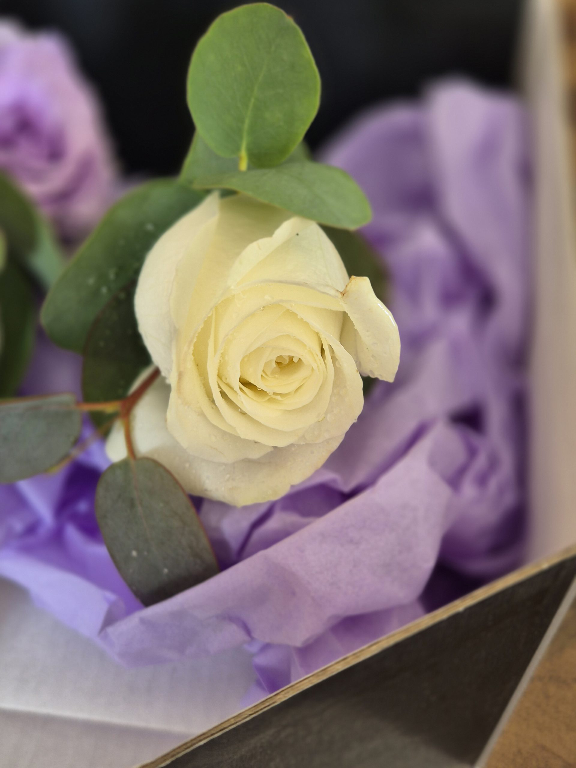 Olivias Flowers white rose