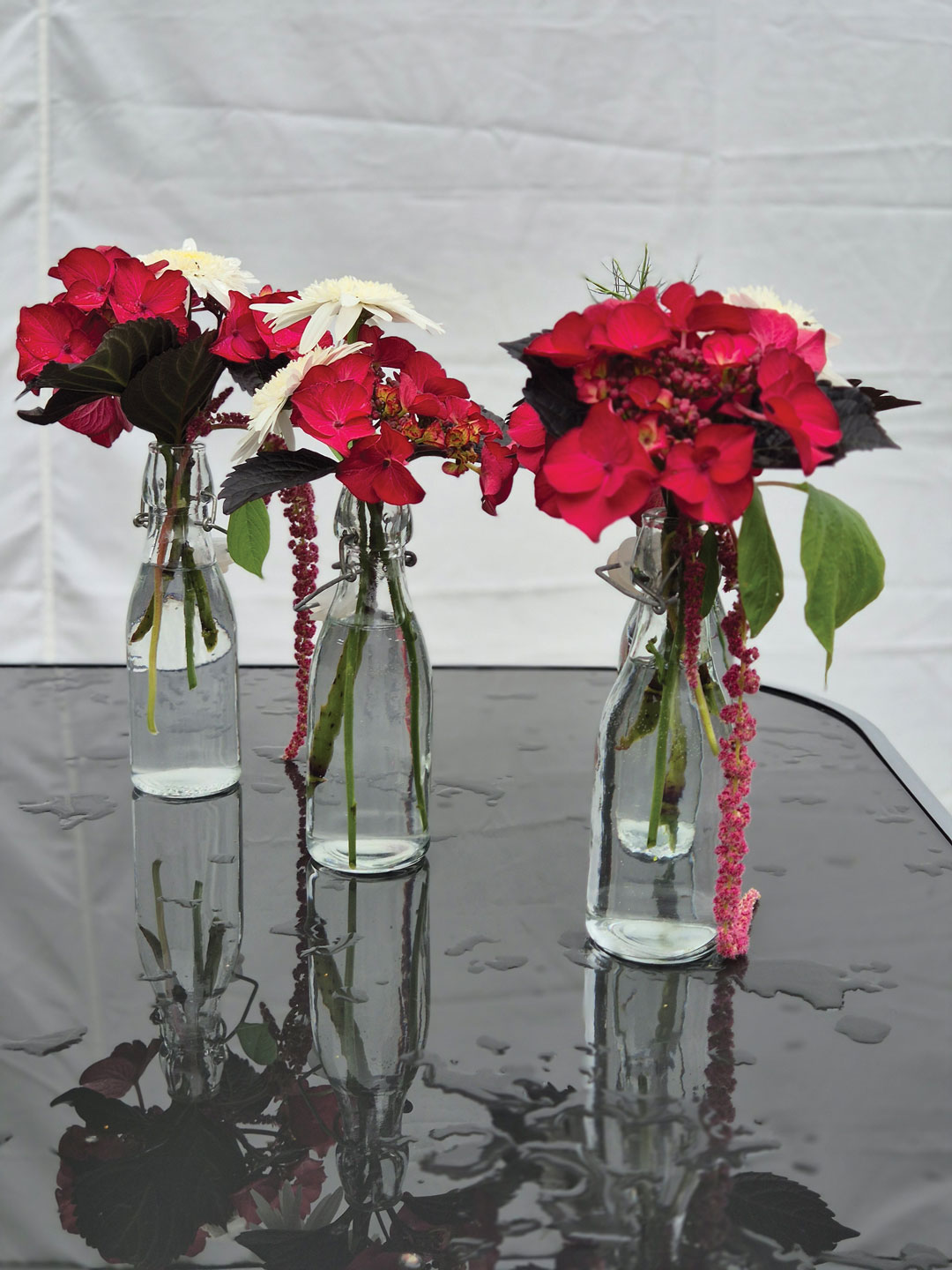 Olivias Flowers red flowers in bottles